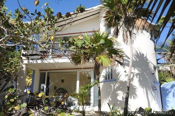 Las Ranitas Eco Boutique Hotel ตูลุม ภายนอก รูปภาพ